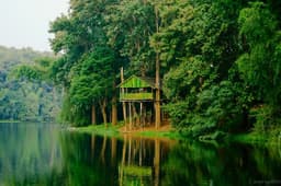 Pollachi Topslip Parambikulam Valparai Tour Package view 4