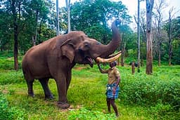 Pollachi Topslip Parambikulam Valparai Tour Package view 5