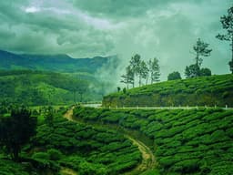Cochin Munnar Kanthaloor Marayoor Tour Package view 2