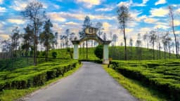 Wonders of Kerala Coimbatore Departure Tour Package view 4