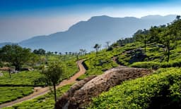 Grand Kodaikanal Ooty Coonoor Mudumalai Tour Package view 3