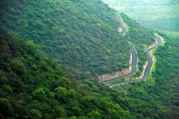 Kodaikanal Local & Sightseeing Tour Package view 3