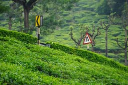 Pollachi Valparai Tour Package view 3
