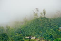 Pollachi Valparai Tour Package view 7