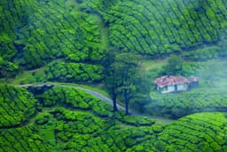 Pollachi Valparai Athirapally Waterfalls Tour Package view 3