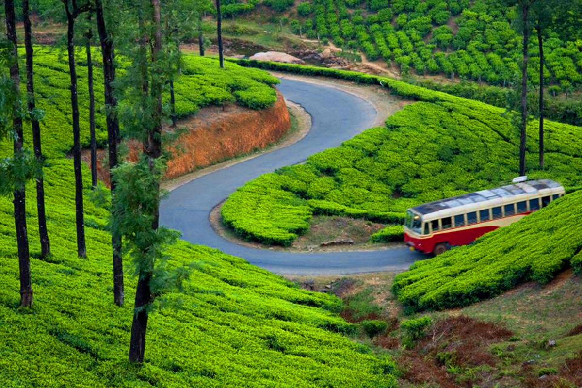Cochin Alleppey Houseboat Munnar Tour Package view 2