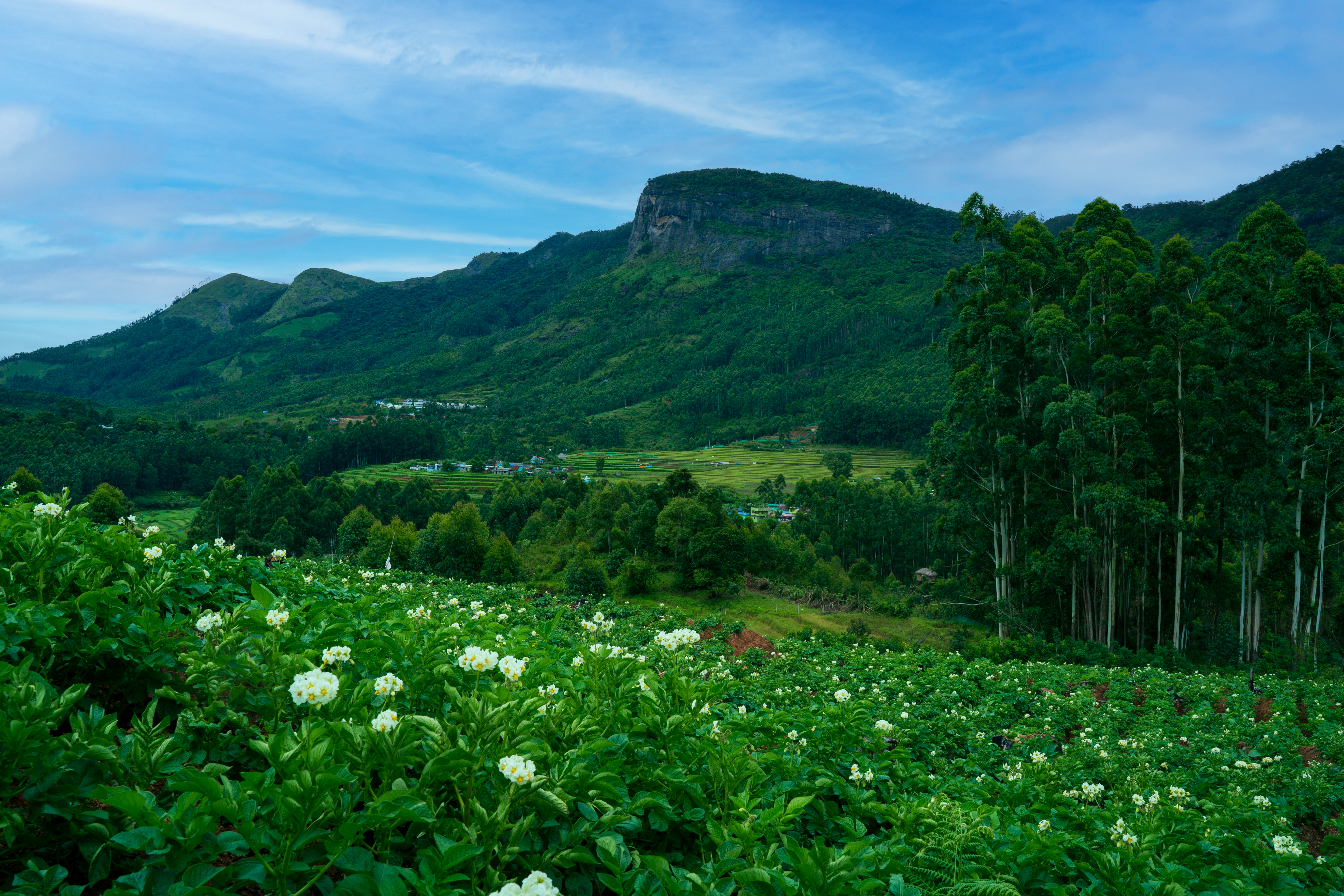 Cochin Munnar Kanthaloor Marayoor Tour Package view 1