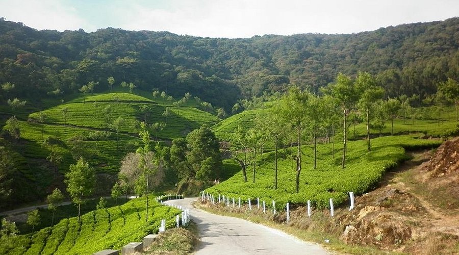 Cochin Munnar Kanthaloor Marayoor Tour Package view 4