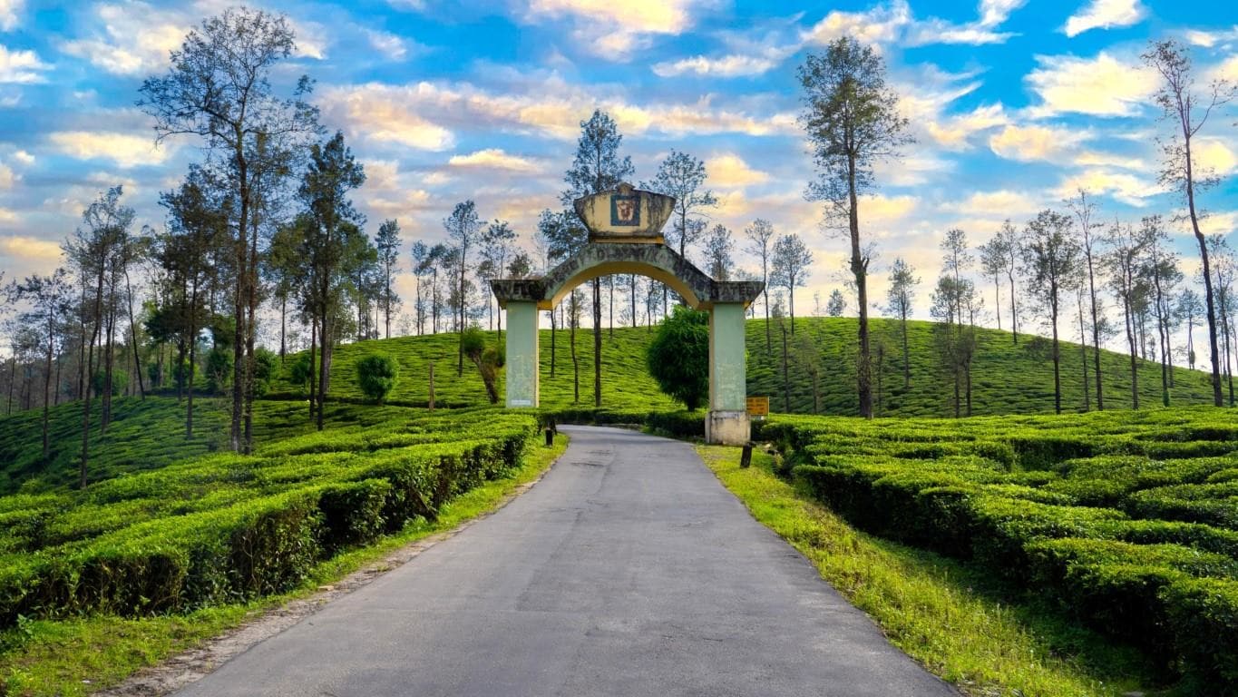 Wonders of Kerala Coimbatore Departure Tour Package view 4