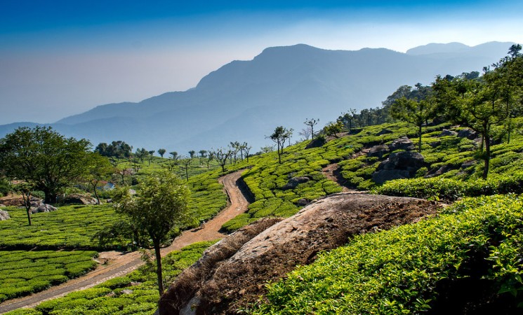 Grand Kodaikanal Ooty Coonoor Mudumalai Tour Package view 3