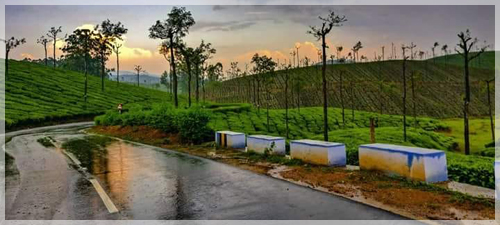 valparai local-tours