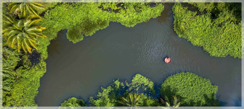 places-of-visit-valparai
