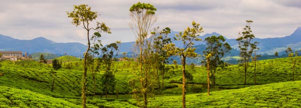 valparai-tours