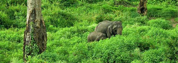 wildlife-tours
