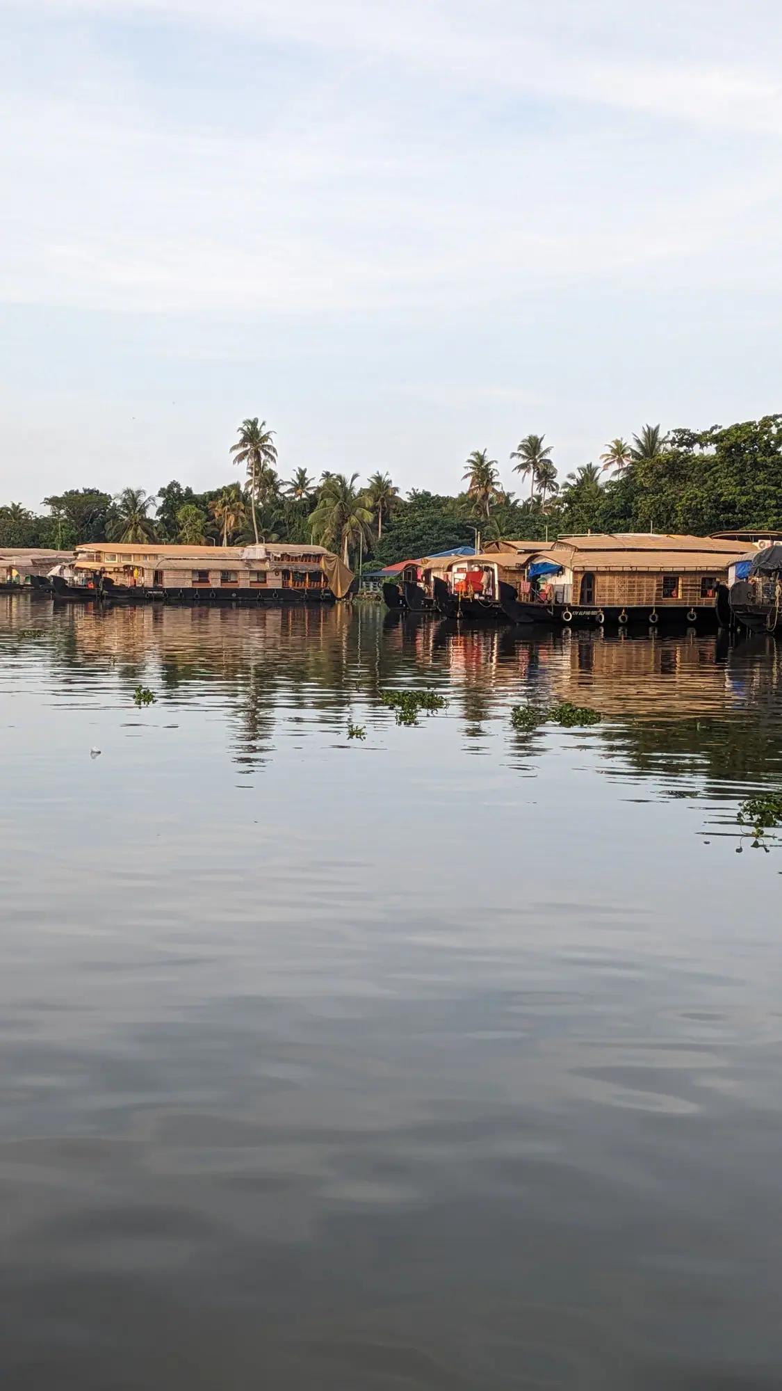 Row of houseboats at Alleppey