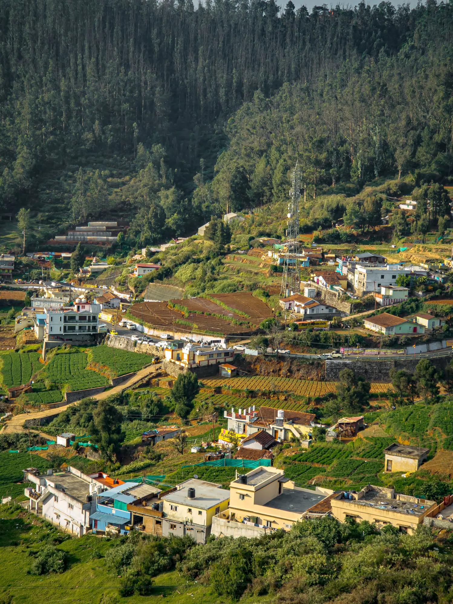 Hill town houses on a green slope