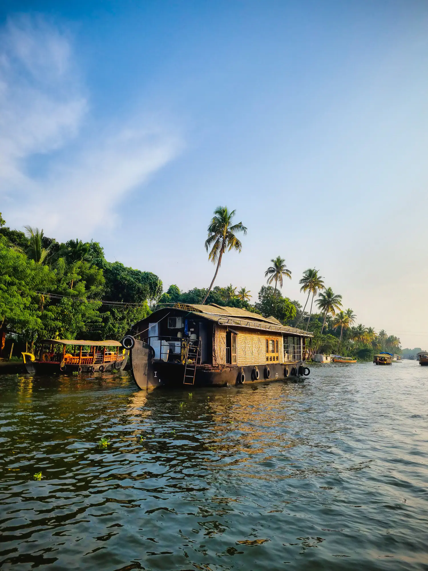 Houseboat moored among coconut palms