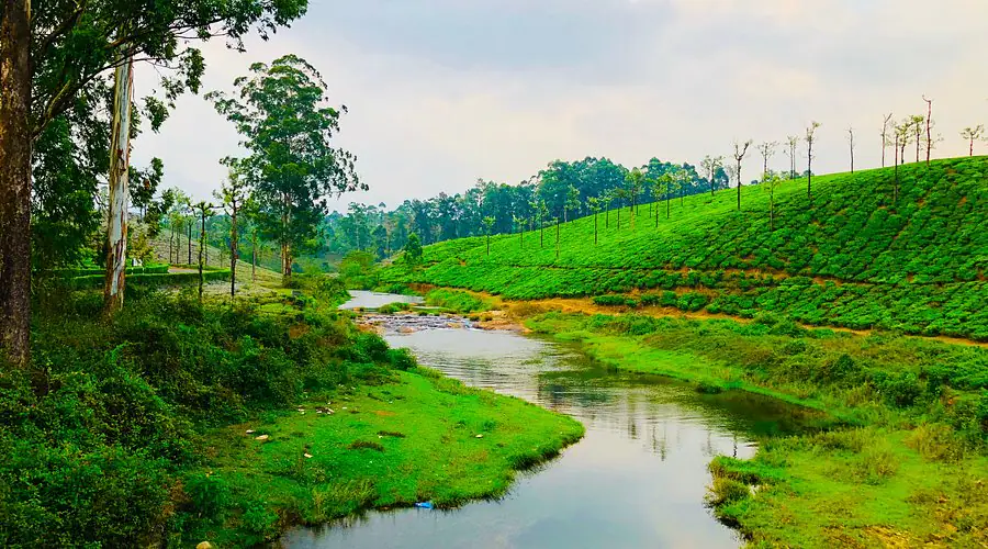 Koolangal river flowing through tea estates in Valparai