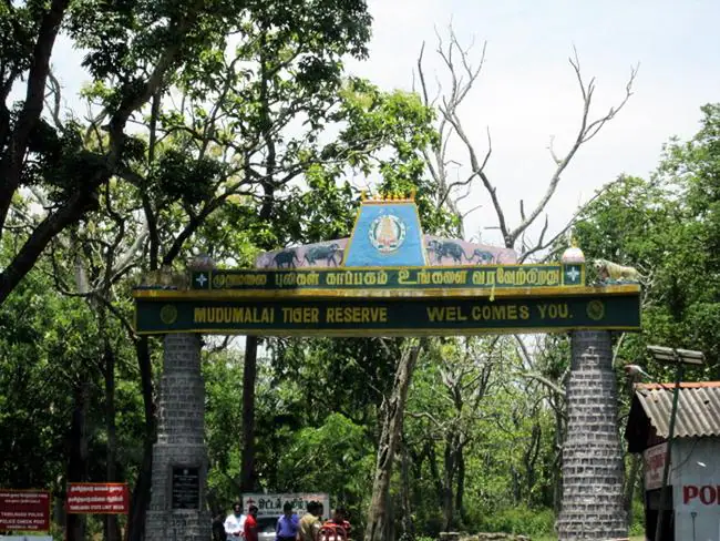 Mudumalai Tiger Reserve entrance arch