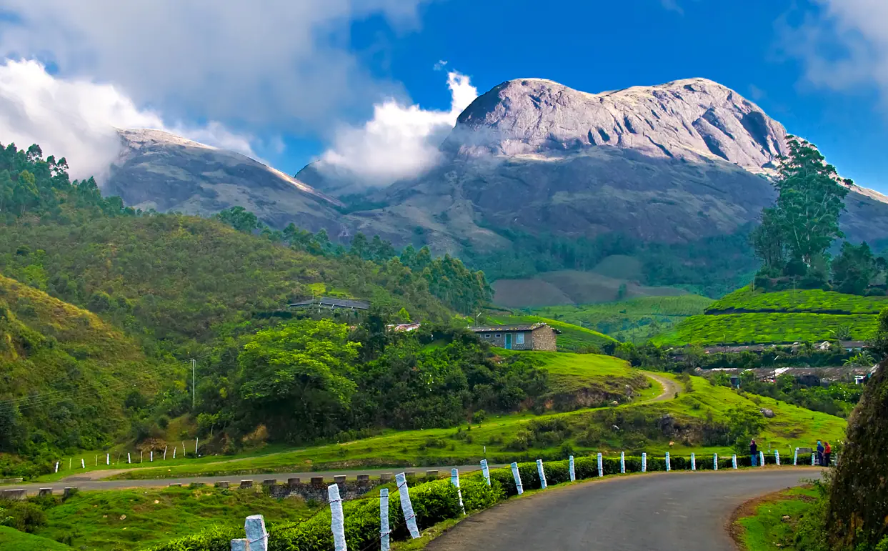 Mountain road and tea slopes in Munnar