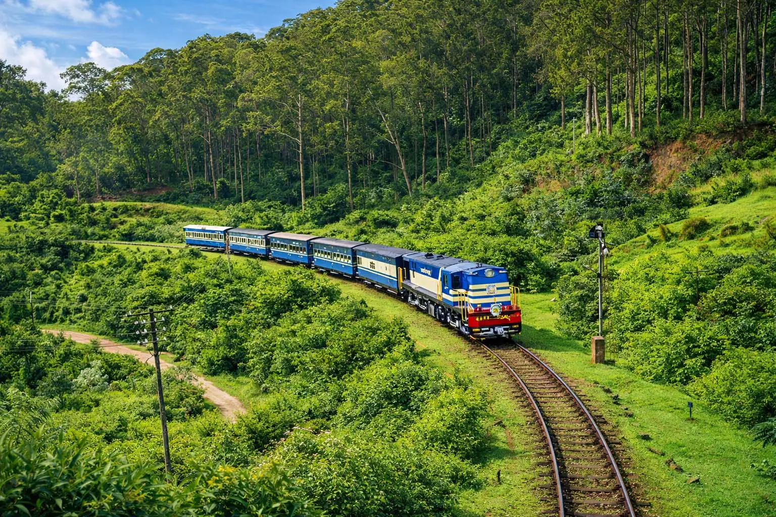 Nilgiri Mountain Railway toy train through tea gardens
