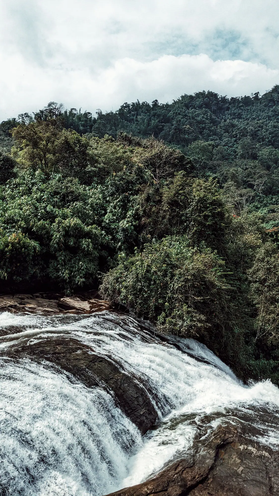 Forest stream over rocks in the Anamalai Hills