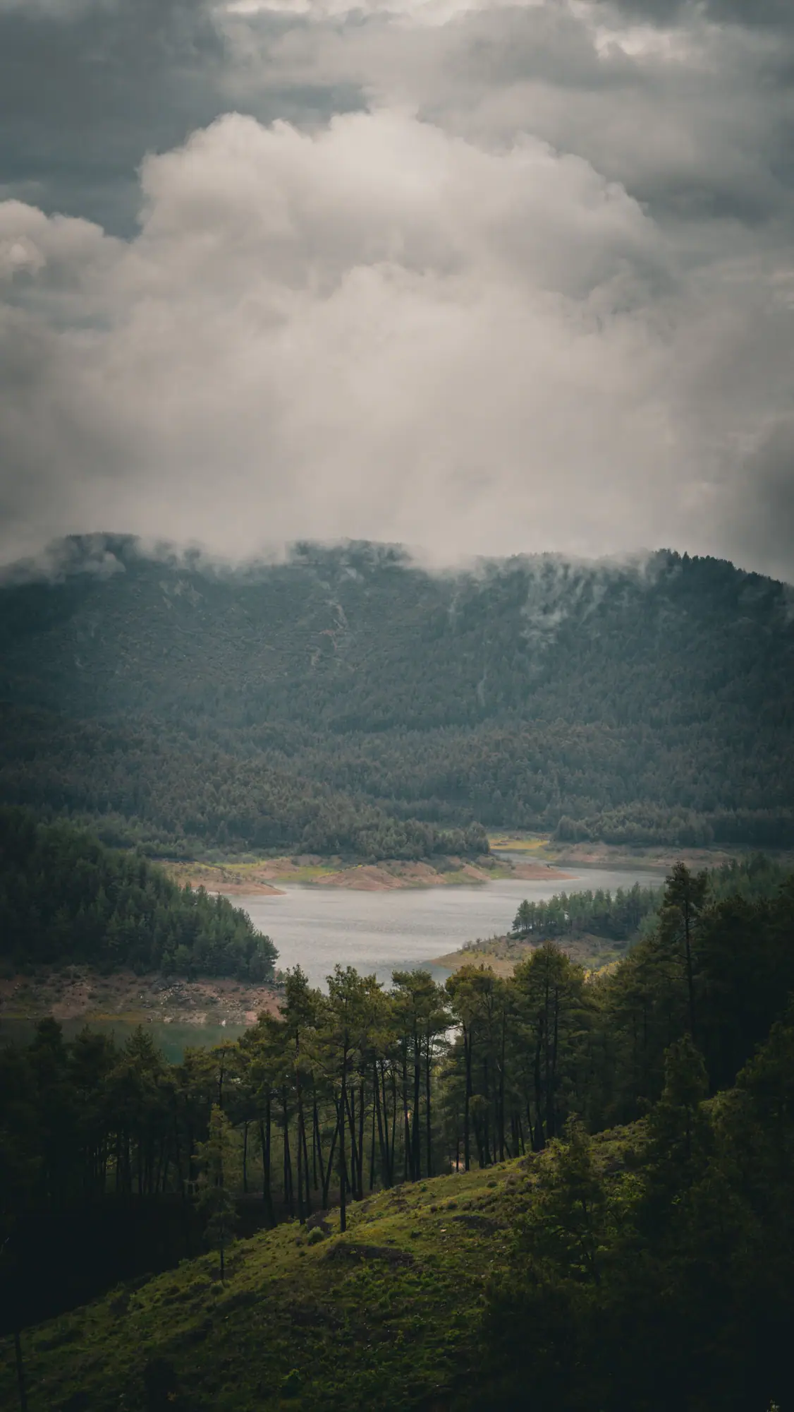 Misty reservoir edged by forest