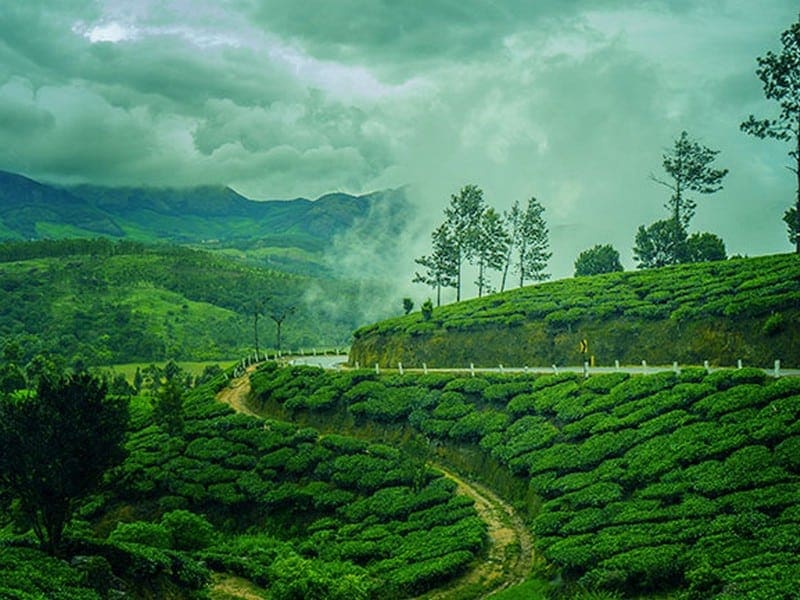 Kanthaloor Marayoor Munnar Tour Tour Package view 2