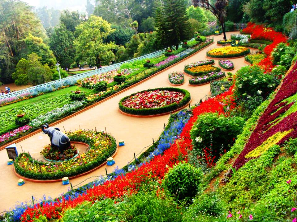 Coonoor Ooty Pykara Masinagudi Tour Package view 1