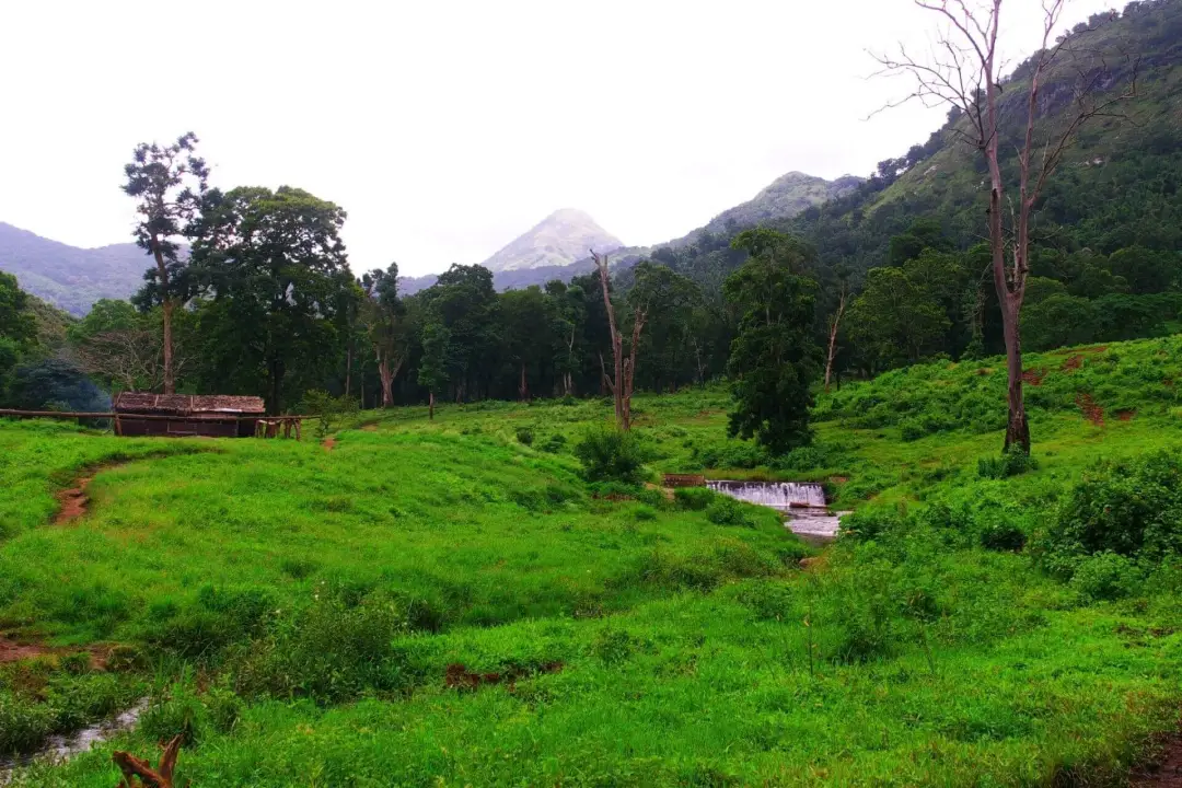 Pollachi Topslip Parambikulam Valparai Tour Package view 1