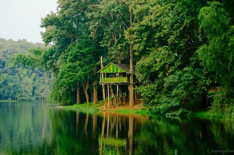Pollachi Topslip Parambikulam Valparai Tour Package view 4