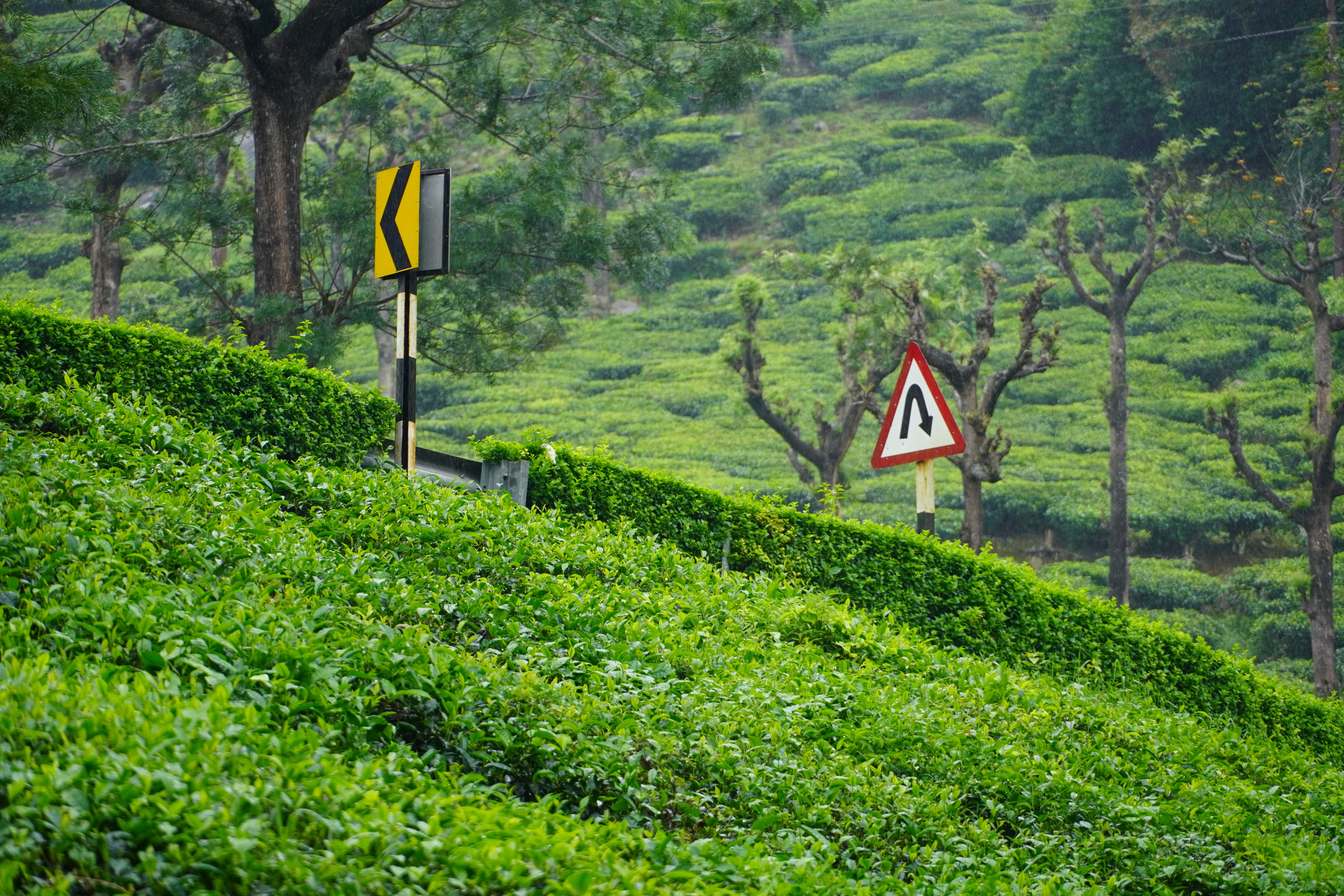 Pollachi Valparai Tour Package view 2