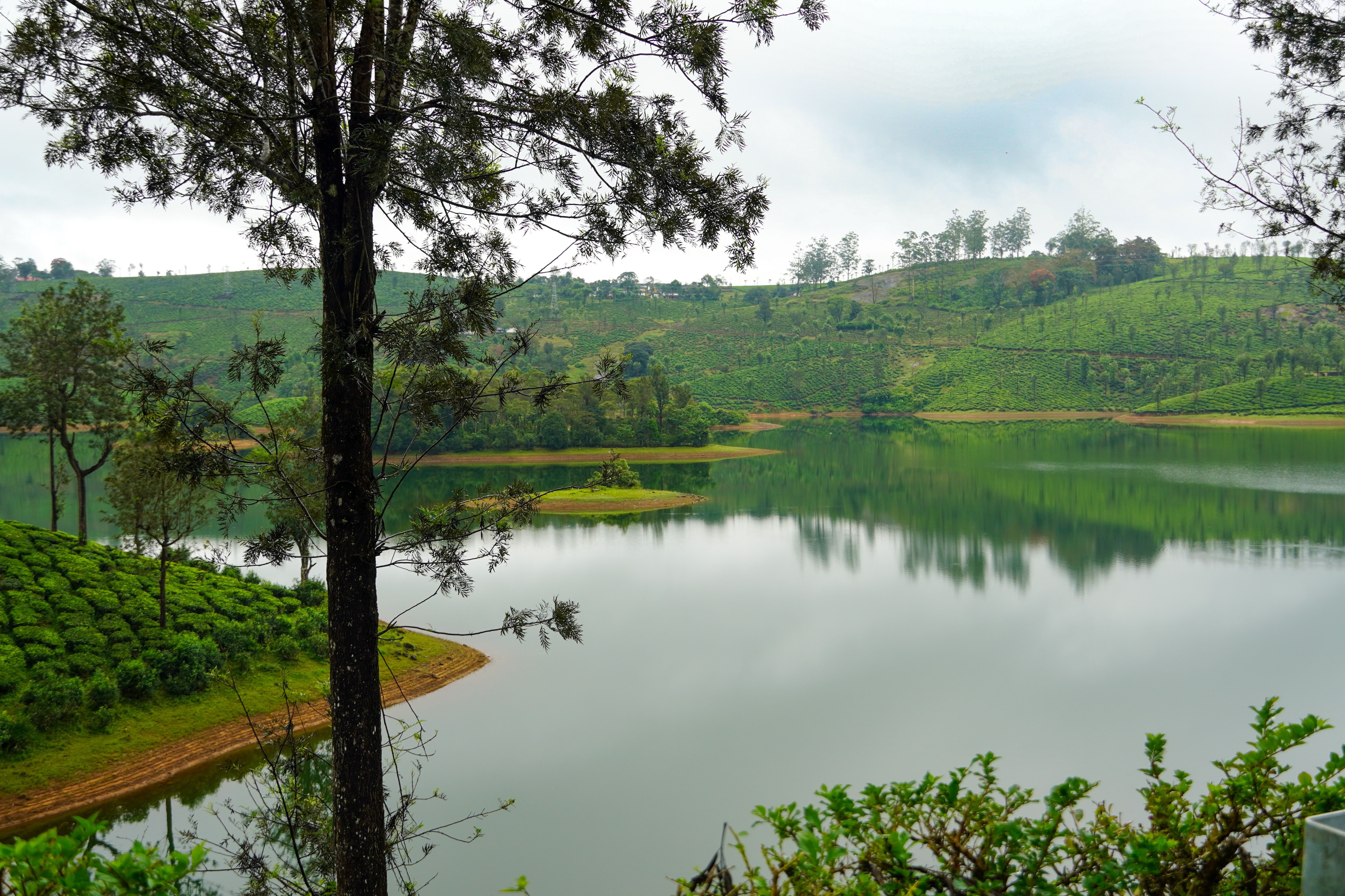 Pollachi Valparai Tour Package view 3