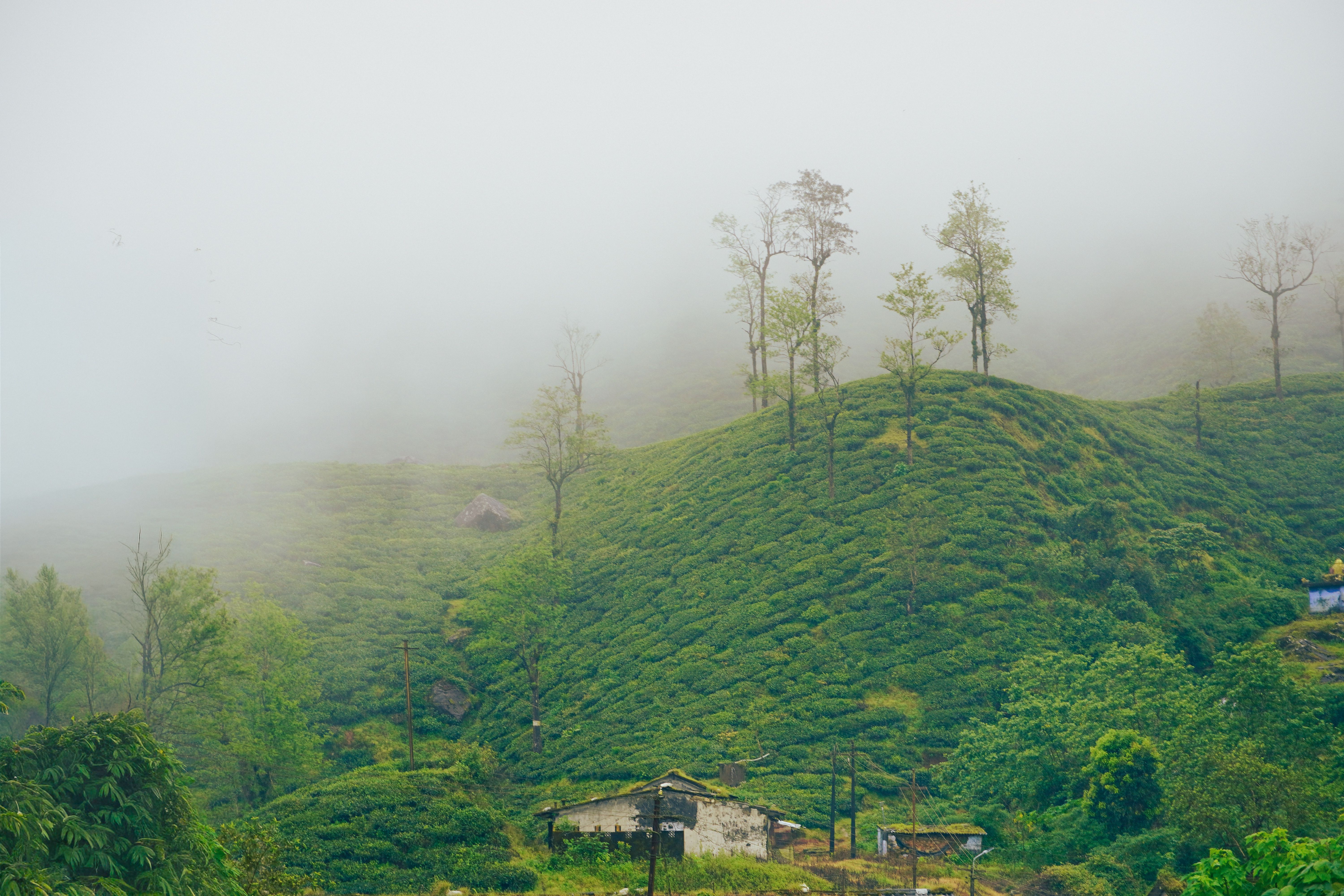 Pollachi Valparai Tour Package view 6