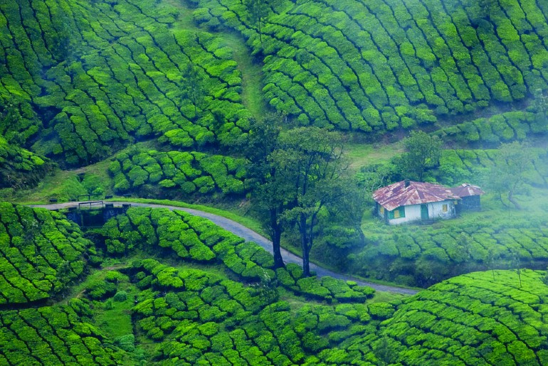 Pollachi Valparai Athirapally Waterfalls Tour Package view 3